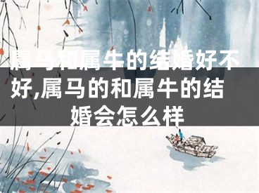 属马和属牛的结婚好不好,属马的和属牛的结婚会怎么样