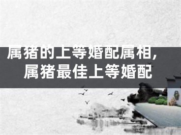 属猪的上等婚配属相,属猪最佳上等婚配