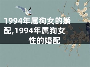 1994年属狗女的婚配,1994年属狗女性的婚配