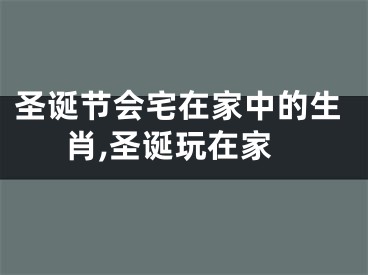 圣诞节会宅在家中的生肖,圣诞玩在家