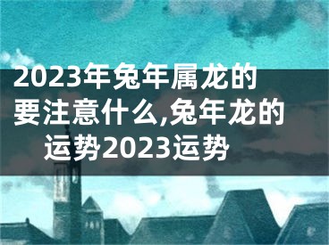 2023年兔年属龙的要注意什么,兔年龙的运势2023运势