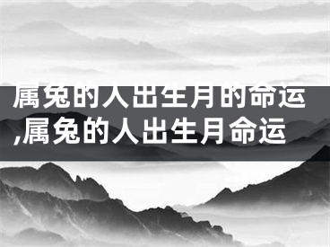 属兔的人出生月的命运,属兔的人出生月命运