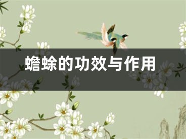 蟾蜍的功效与作用