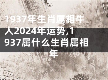 1937年生肖属相牛人2024年运势,1937属什么生肖属相年