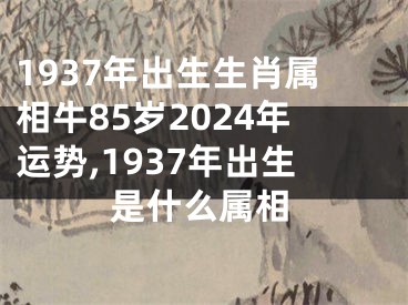 1937年出生生肖属相牛85岁2024年运势,1937年出生是什么属相