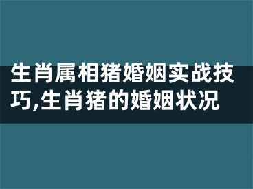 生肖属相猪婚姻实战技巧,生肖猪的婚姻状况