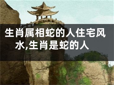 生肖属相蛇的人住宅风水,生肖是蛇的人