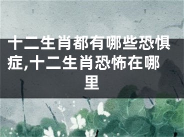 十二生肖都有哪些恐惧症,十二生肖恐怖在哪里