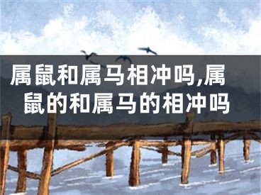属鼠和属马相冲吗,属鼠的和属马的相冲吗