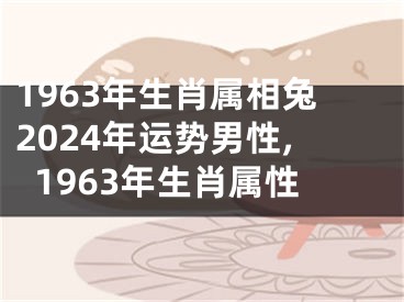 1963年生肖属相兔2024年运势男性,1963年生肖属性