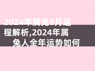 2024年属兔8月运程解析,2024年属兔人全年运势如何
