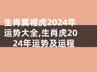 生肖属相虎2024年运势大全,生肖虎2024年运势及运程