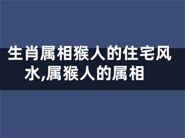 生肖属相猴人的住宅风水,属猴人的属相