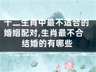 十二生肖中最不适合的婚姻配对,生肖最不合结婚的有哪些