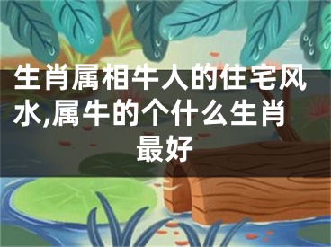 生肖属相牛人的住宅风水,属牛的个什么生肖最好