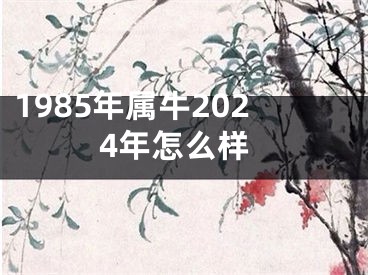 1985年属牛2024年怎么样