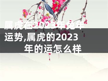 属虎在2023年兔年运势,属虎的2023年的运怎么样
