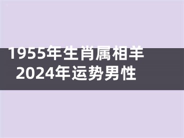 1955年生肖属相羊2024年运势男性