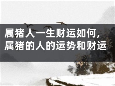 属猪人一生财运如何,属猪的人的运势和财运