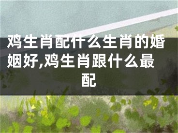 鸡生肖配什么生肖的婚姻好,鸡生肖跟什么最配