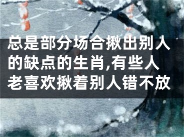 总是部分场合揪出别人的缺点的生肖,有些人老喜欢揪着别人错不放