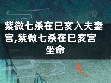 紫微七杀在巳亥入夫妻宫,紫微七杀在巳亥宫坐命