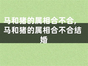马和猪的属相合不合,马和猪的属相合不合结婚