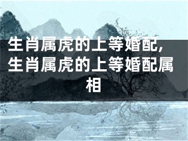 生肖属虎的上等婚配,生肖属虎的上等婚配属相