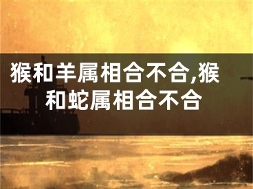 猴和羊属相合不合,猴和蛇属相合不合