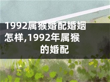 1992属猴婚配婚姻怎样,1992年属猴的婚配
