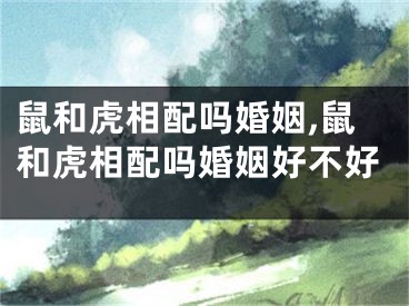 鼠和虎相配吗婚姻,鼠和虎相配吗婚姻好不好