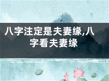 八字注定是夫妻缘,八字看夫妻缘