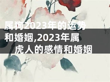 属狗2023年的运势和婚姻,2023年属虎人的感情和婚姻
