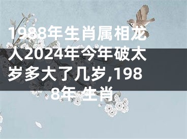 1988年生肖属相龙人2024年今年破太岁多大了几岁,1988年 生肖