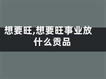 想要旺,想要旺事业放什么贡品