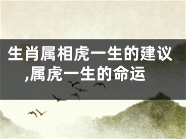 生肖属相虎一生的建议,属虎一生的命运