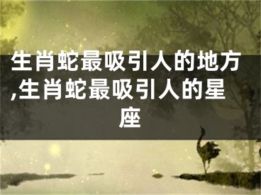 生肖蛇最吸引人的地方,生肖蛇最吸引人的星座