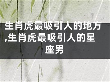 生肖虎最吸引人的地方,生肖虎最吸引人的星座男