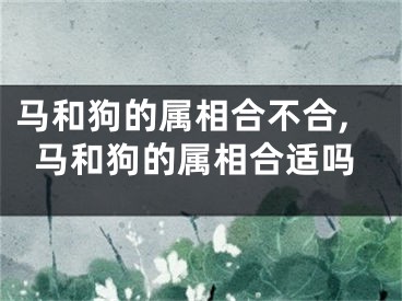 马和狗的属相合不合,马和狗的属相合适吗