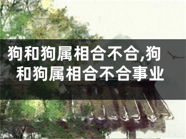 狗和狗属相合不合,狗和狗属相合不合事业