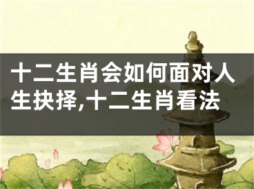 十二生肖会如何面对人生抉择,十二生肖看法