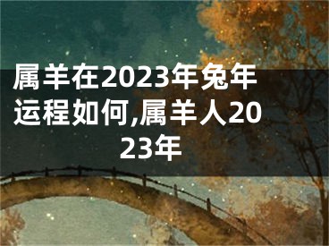属羊在2023年兔年运程如何,属羊人2023年