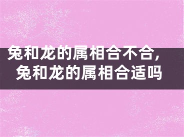 兔和龙的属相合不合,兔和龙的属相合适吗