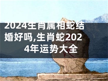 2024生肖属相蛇结婚好吗,生肖蛇2024年运势大全