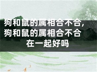 狗和鼠的属相合不合,狗和鼠的属相合不合 在一起好吗
