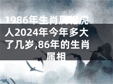 1986年生肖属相虎人2024年今年多大了几岁,86年的生肖属相