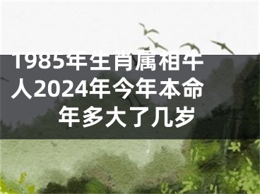 1985年生肖属相牛人2024年今年本命年多大了几岁