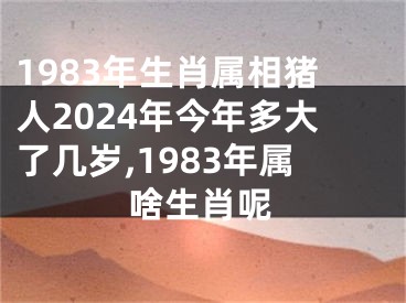 1983年生肖属相猪人2024年今年多大了几岁,1983年属啥生肖呢