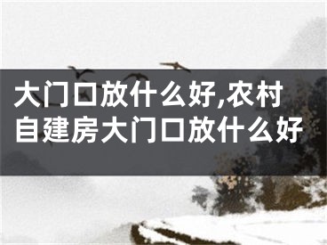 大门口放什么好,农村自建房大门口放什么好