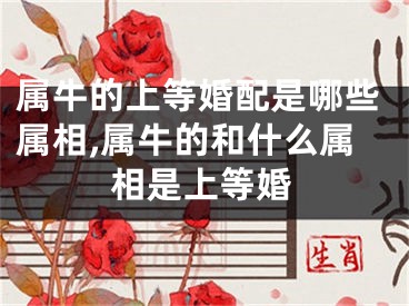 属牛的上等婚配是哪些属相,属牛的和什么属相是上等婚